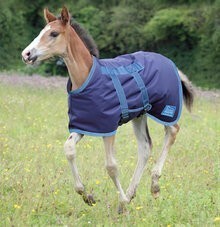 Shires Highlander Foal Rug