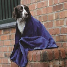 Weatherbeeta Dog Towel