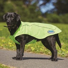 Weatherbeeta Reflective Exercise Dog Coat