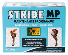 TRM Stride MP Sachets (60*20g)