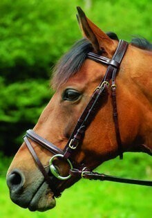 Celtic Equine Comfort Bridle - Flash Noseband