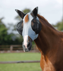 Premier Equine Comfort Tech Lycra Fly Mask