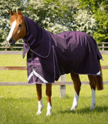 Premier Equine Buster 70G Turnout Rug With Classic Neck Cover