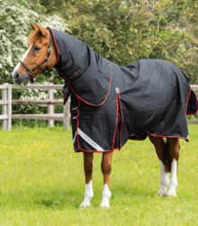 Premier Equine Buster 250G Turnout Rug With Classic Neck Cover