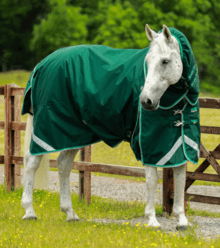 Premier Equine Buster 200G Turnout Rug With Snug-Fit Neck Cover