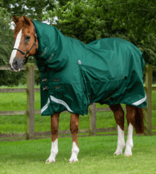 Premier Equine Buster Storm 220G Combo Turnout Rug