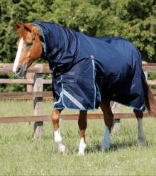 Premier Equine Buster Storm 100G Combo Turnout Rug