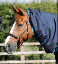 Premier Equine Buster Storm 100G Combo Turnout Rug