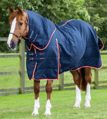 Premier Equine Stable Buster 100G Stable Rug With Neck Cover