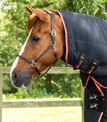 Premier Equine Stable Buster 450G Stable Rug With Neck Cover