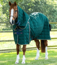 Premier Equine Lucanta Stable 200G Stable Rug With Neck Cover
