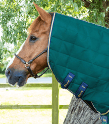 Premier Equine Lucanta Stable 200G Stable Rug With Neck Cover