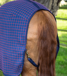 Premier Equine 3D Waffle Cooler