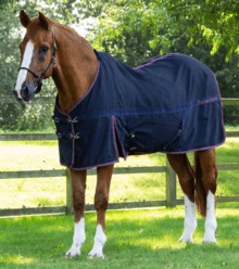 Premier Equine Barrasso Cotton Stable Sheet