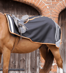 Premier Equine Stratus Exercise Sheet