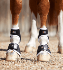 Premier Equine Magni-Teque Magnetic Fetlock Boots