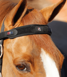 Premier Equine Magni-Teque Magnetic Brow Band