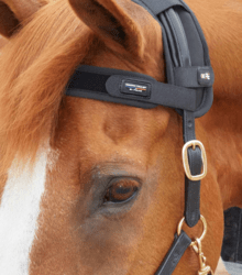 Premier Equine Magni-Teque Magnetic Brow Band