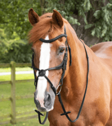 Premier Equine Diego Rubber Reins - Horse 50''/54''