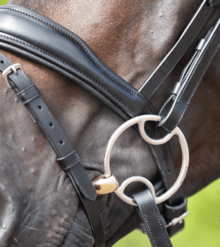 Premier Equine Brass Alloy Bevel Bit With Lozenge