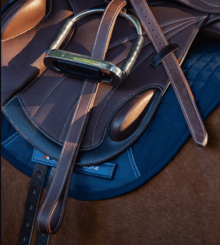 Premier Equine German Aniline Stirrup Leathers