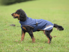 Bucas Therapy Dog Rug 150g