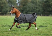 Bucas Anniversary Turnout Light Stay Dry