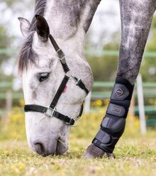 LeMieux Breakaway Headcollar