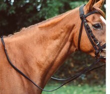 Equisential Nylon Reins