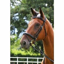 Cameo Core Collection Comfort Bridle