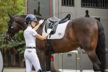 LeMieux Diamante Dressage Pad