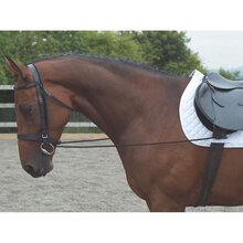 Shires Elastic Training Reins