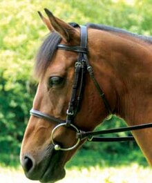 Celtic Equine Racing Bridle