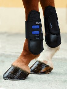 Horseware Dalmar SJ guêtres de protection protège tendon antérieurs ouvertes - Poids Léger