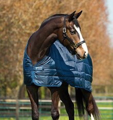 Horseware Liner - 200g