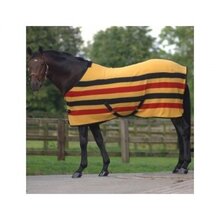 Shires Newmarket Coperta in pile
