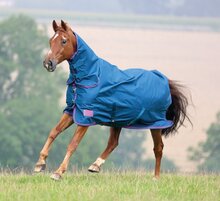 Shires Tempest Léger Combo