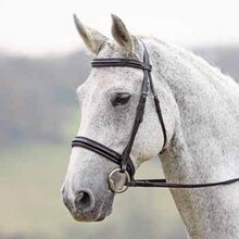 Shires Argenta brevetto Dressage briglia