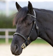 Shires Fancy genähtes Inhand Zaumzeug