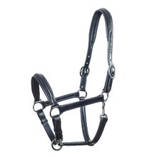 Schockemohle Neo Ulm ligne Head Collar