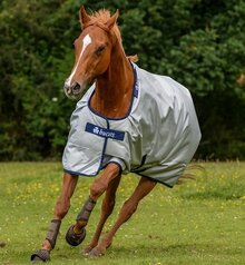 Bucas Power Turnout Rug Extra