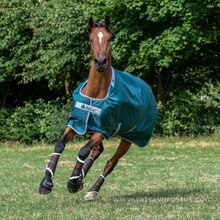 Bucas Atlantic Turnout Rug 