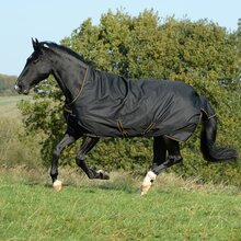 Bucas Irish Light Turnout Rug 50g