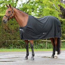 Bucas Power Cooler Rug