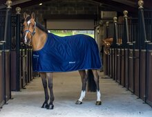 Bucas Shamrock Power Rug - Pony