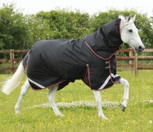 Premier Equine Titan 100 Turnout Rug