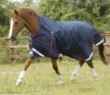 Premier Equine Buster Hardy