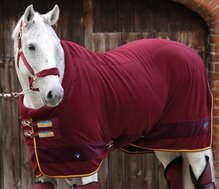 Premier Equine Buster Cooler Continental Rug