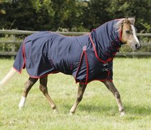 Premier Equine Combo Stable Sheet - Pony
