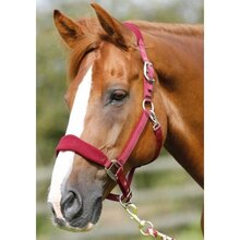 Premier Equine Fleece Padded Head Collar